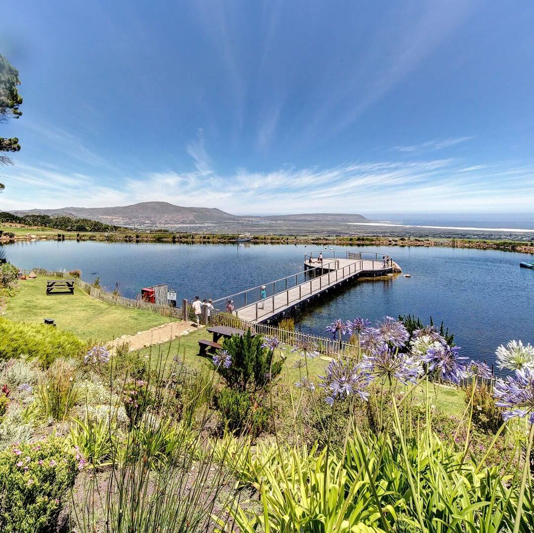 The 10 Best, Most Scenic, Picnic Spots in Cape Town, 2023 Edition LevaLux South Africa vacation